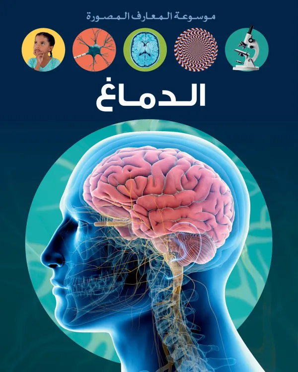 موسوعة المعارف المصورة (الدماغ)
